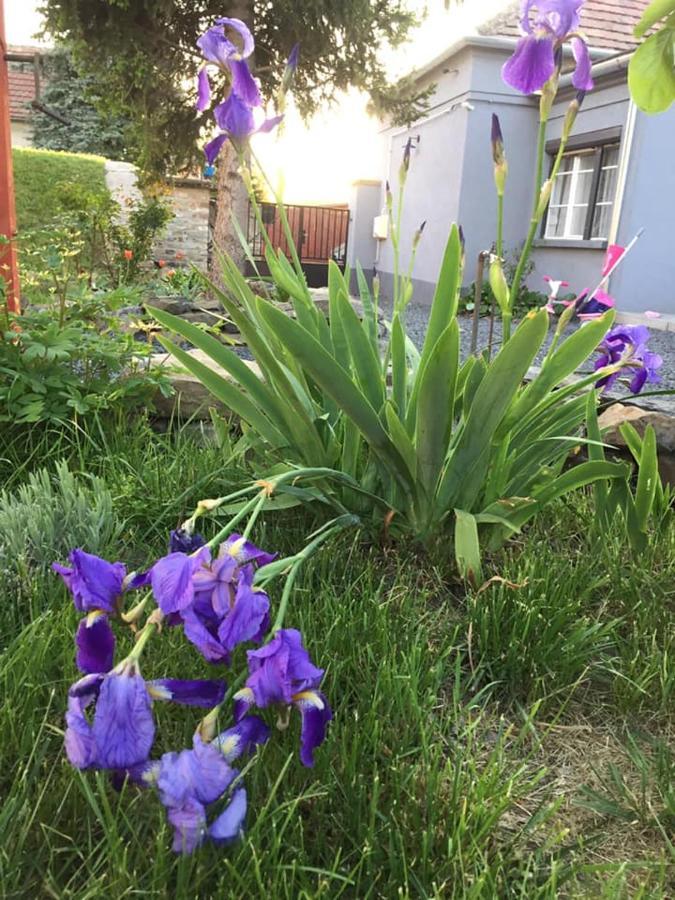 Luis Golyas Haza Villa Raposka Eksteriør billede